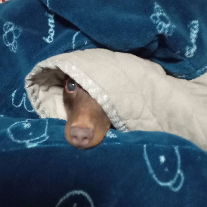 76402f51 782d 48d8 92ff b1fa918e1b7b 1767305161788