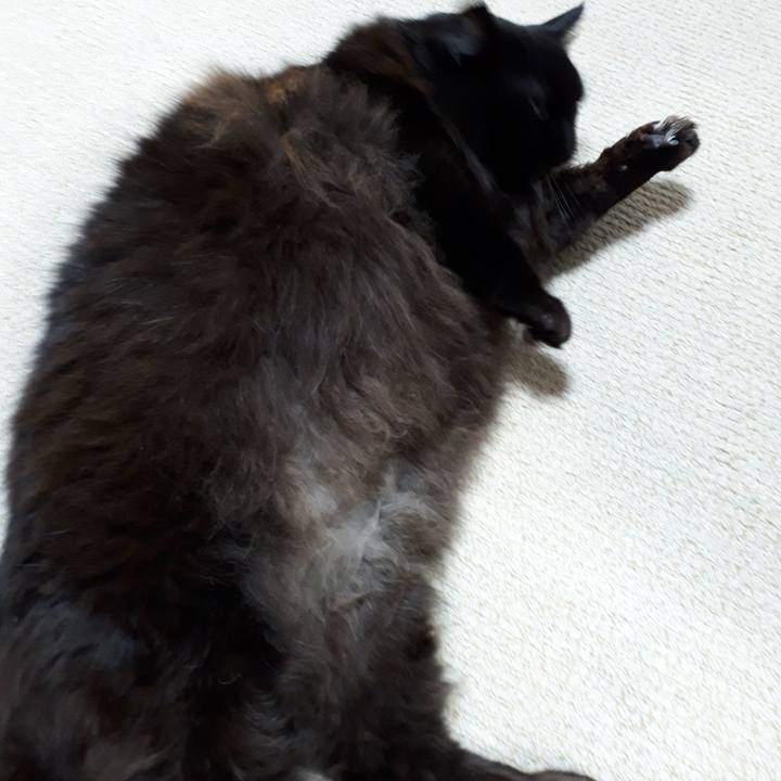 76406e34 251e 47d0 a663 a903198177f6 1517091776527