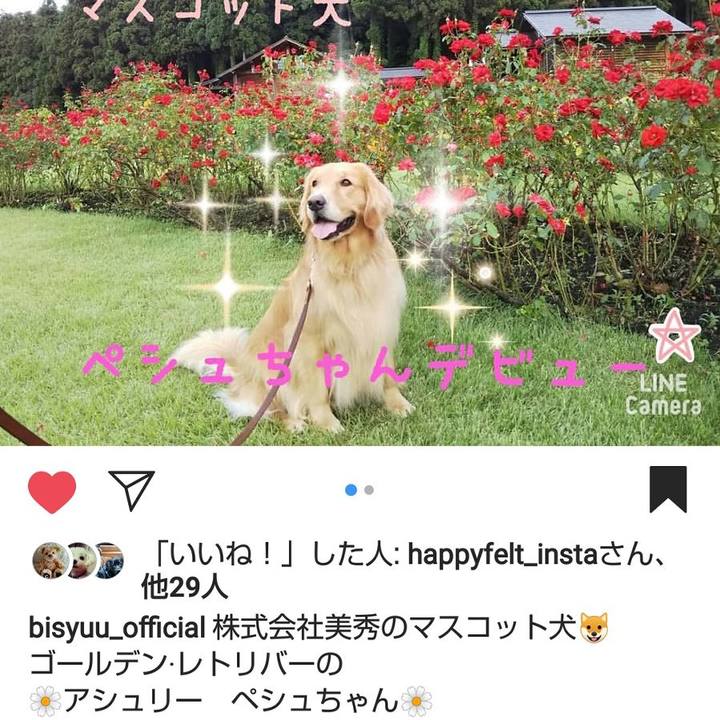 7640a197 2ff6 499d a725 f151a7e66c18 1545470297273