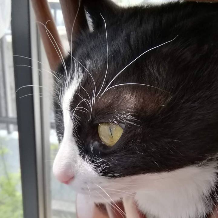 7641520b 4455 40c8 b6d9 7c79e960f8c7 1618129662981