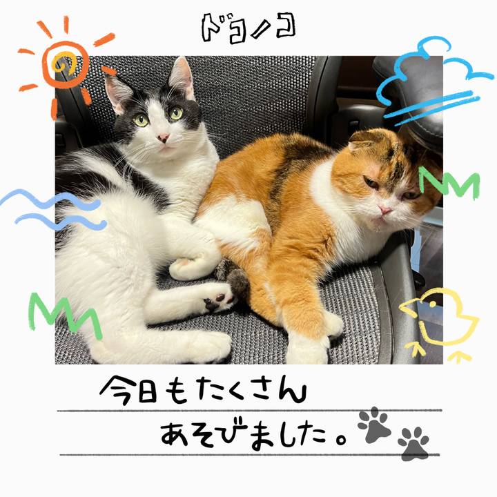 764172fe 5b9a 4ecc a0ac eecc72b3ecf4 1755427830259