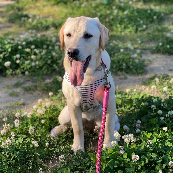 764190ba 3c3f 47f2 9f4f 45971fca8119 1620384059767