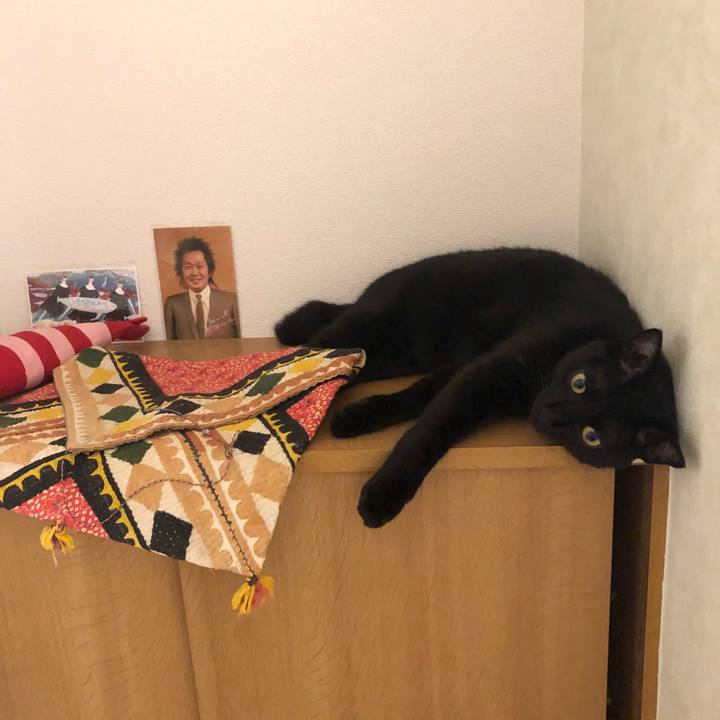 7641bdfa a866 4904 8a82 47a26d140cf5 1531743850194