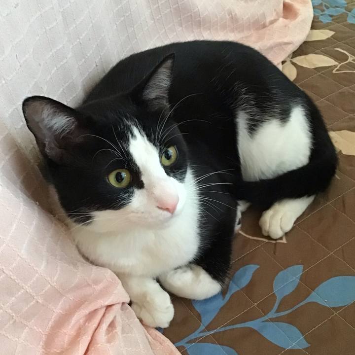 7641cb84 fee3 44ba be5c 21aaafe2b3dc 1651272873347