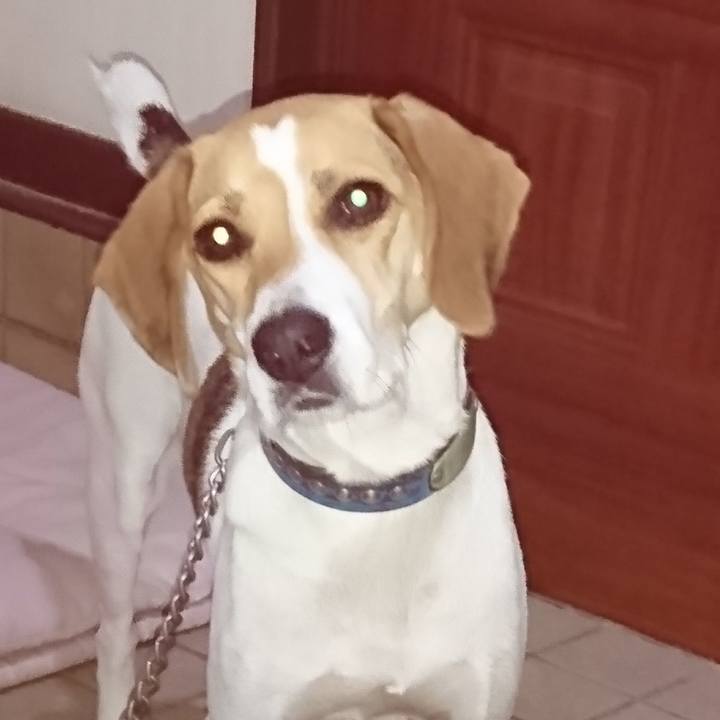 7641e924 a881 4579 b2d2 2f967bff2fe2 1568291436019