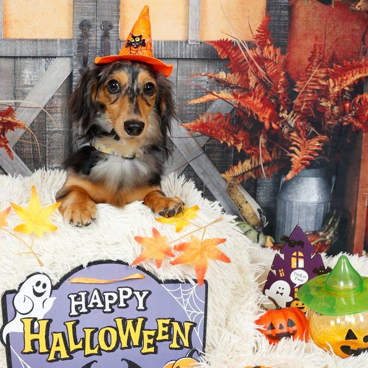 76421265 9731 4db6 adf9 02c2d708dab0 1761910743051