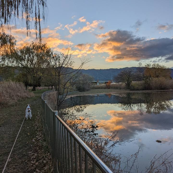 76421c84 5769 417a 9f0d 79b193bc2f2c 1639785695573