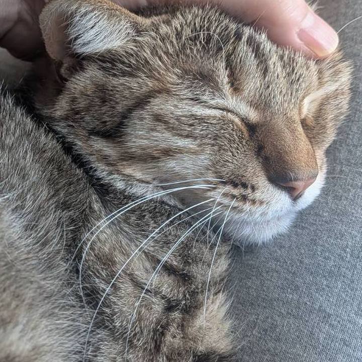 76423cc3 fe16 47bf af2c 3215f11a757d 1774303739749