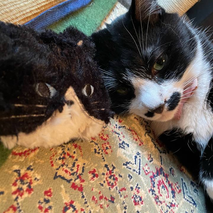 76425bcf cc8b 4c08 aeff 08c252d1ad2d 1754780872603