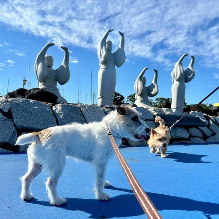 76425ce7 98cb 4ac1 bf5d 0b7462700728 1731160478207