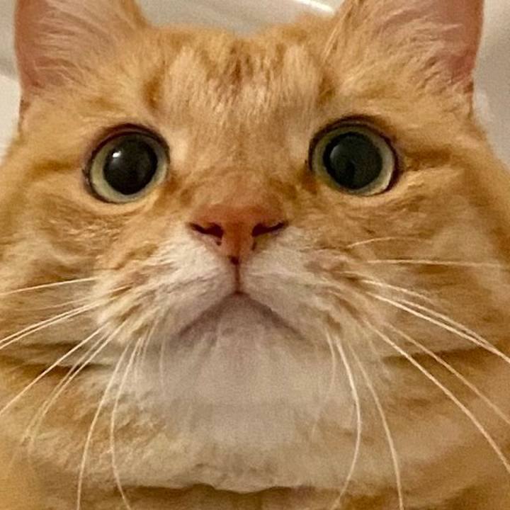 76429f1c 32bd 462b 8ebd cae0eb237d6e 1674272572065