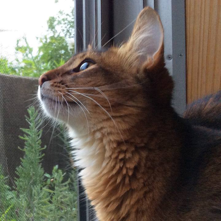 7642c5fb 196e 48e0 a5b8 710382914442 1570077337320