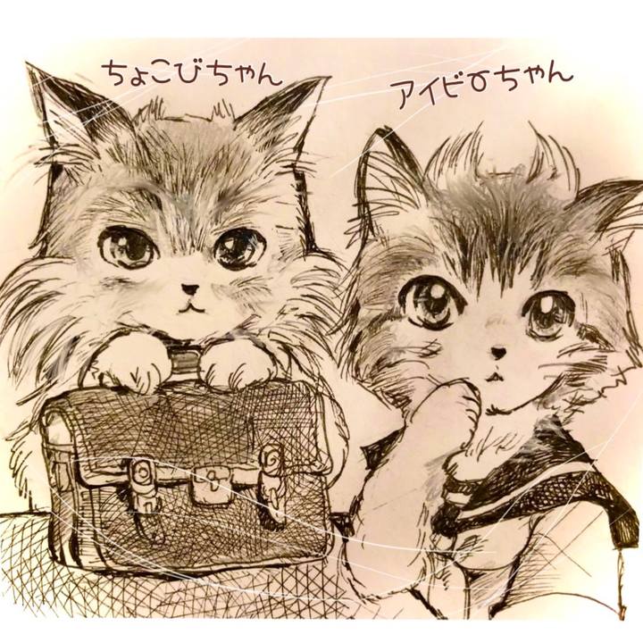 7642c8fd 9ae9 4d69 98be aabe1d781454 1615297595577