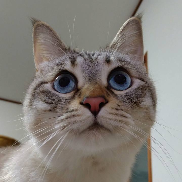 7642cac2 28ef 4d70 be28 2099b15d0a5c 1612098947409