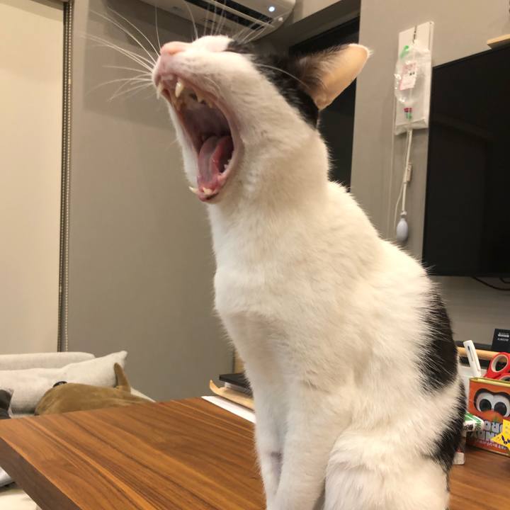 7642e5ae 6a1d 4204 ae0f 5661572577dc 1645712578746