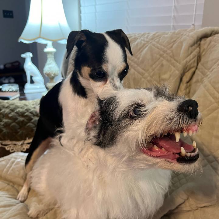 7642ec9f f405 4af6 bb03 e8e227fcd8ac 1713564901893