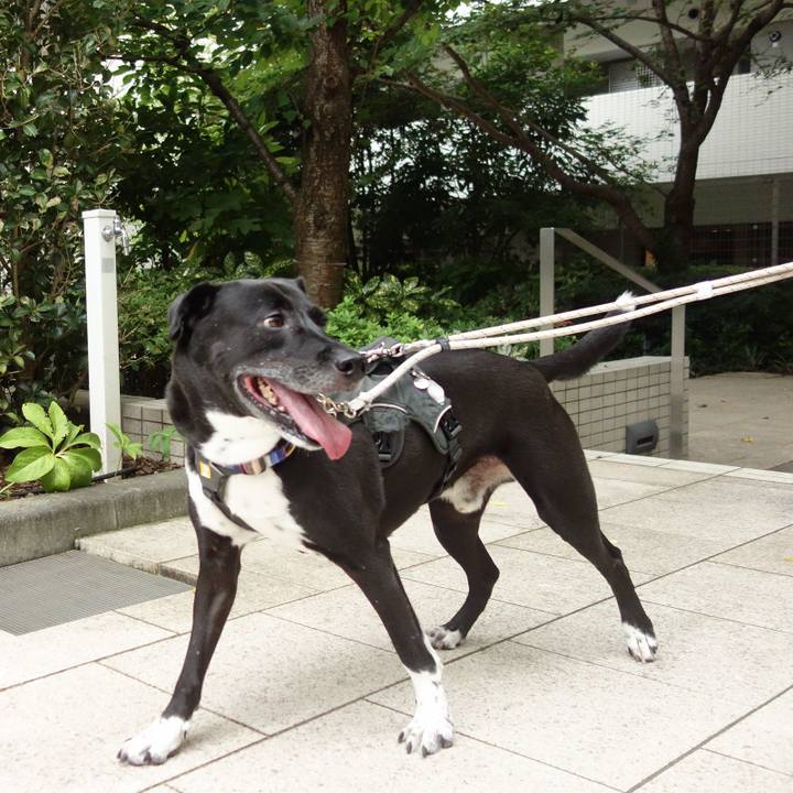 76434e1d 79a2 4362 852a bccd9be97cc6 1662249332388