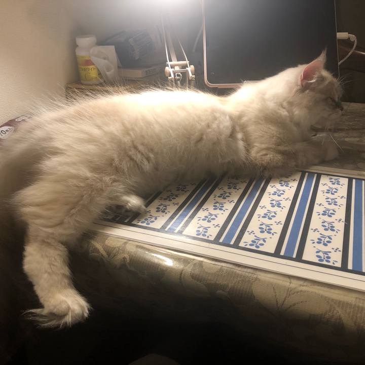 7643a795 c47a 40c1 bf91 dee3b3ab5a3a 1682504316993