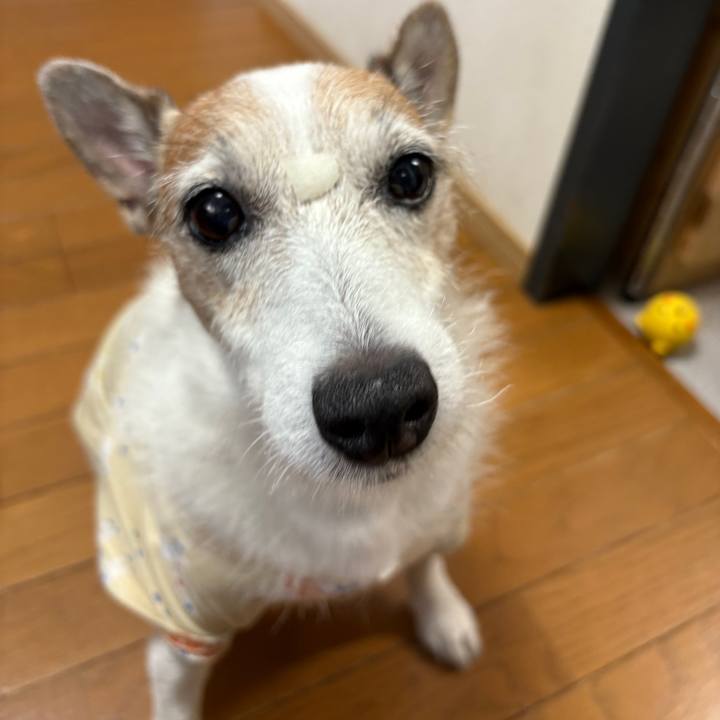 7643d70e 8be7 45f4 a664 241f7f7cc789 1759188135712