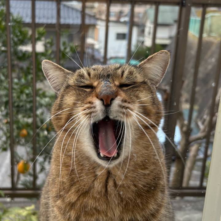 7643e355 176f 41a7 b19d 5802226abccb 1766117360859