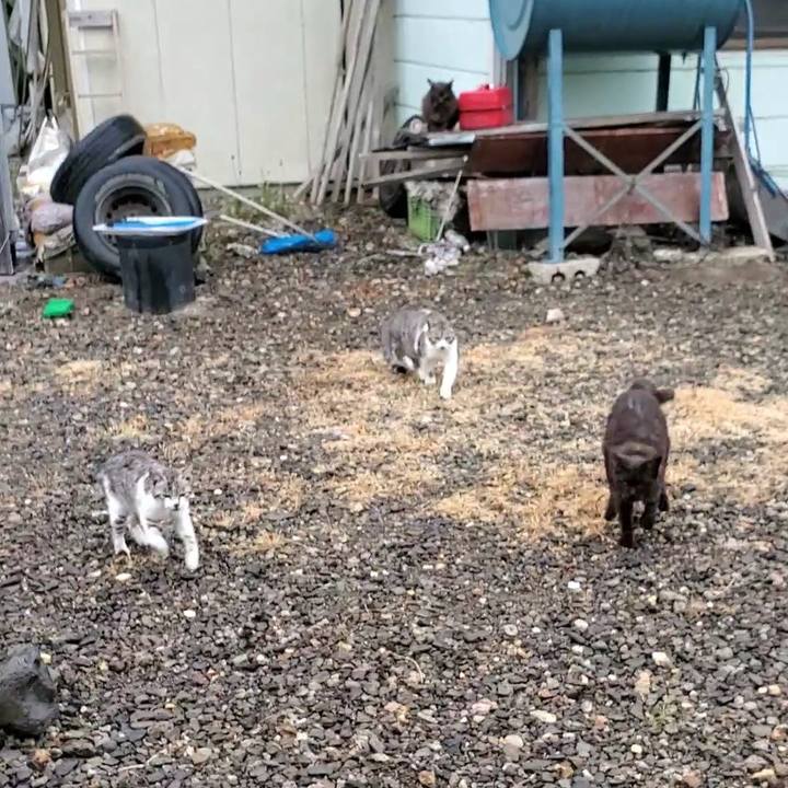 7643edc8 782b 48ac b0a4 234b80300977 1717556698677