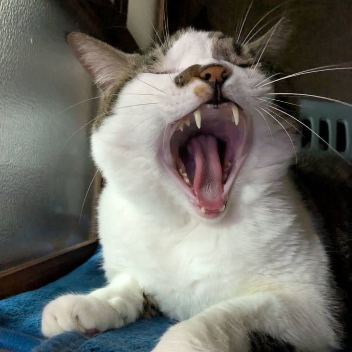 76441f2c fc4b 4dfa 8b0c 9b457aedf858 1760093221827