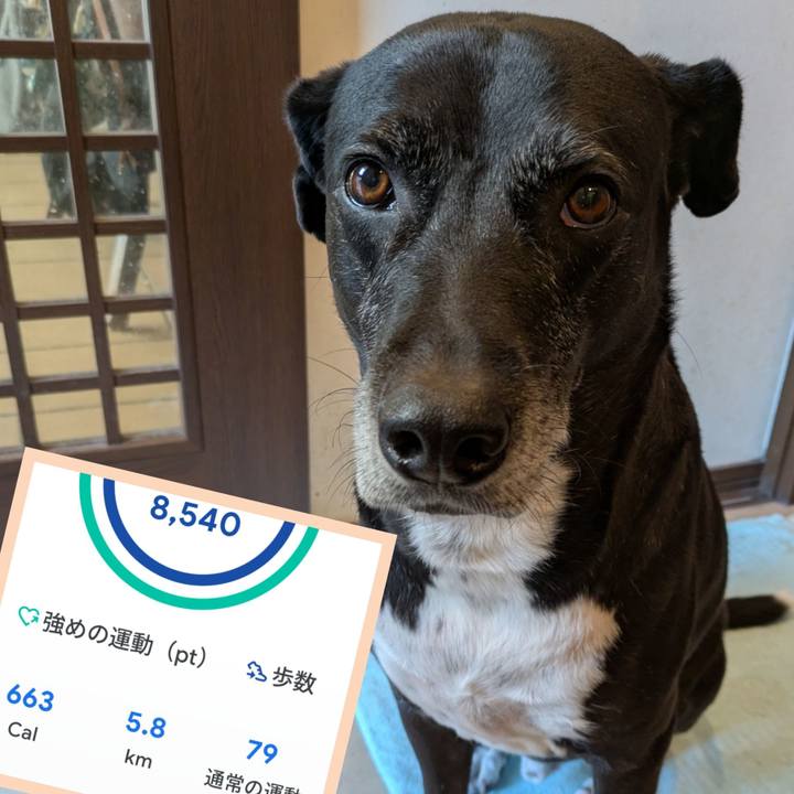 76442690 757c 466a 9581 d38ea62ee78b 1732926526227