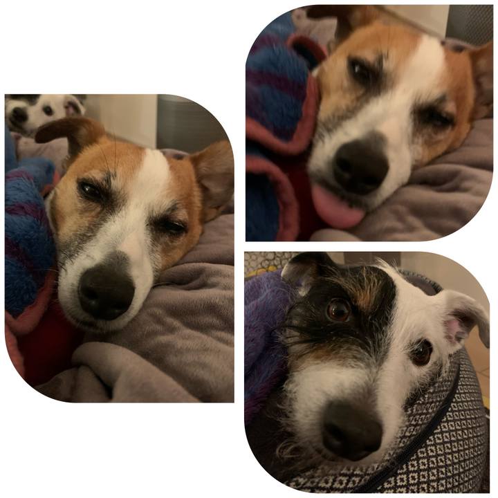 76442a4f 9c0b 4609 a633 3299e7aaeccf 1610800458970