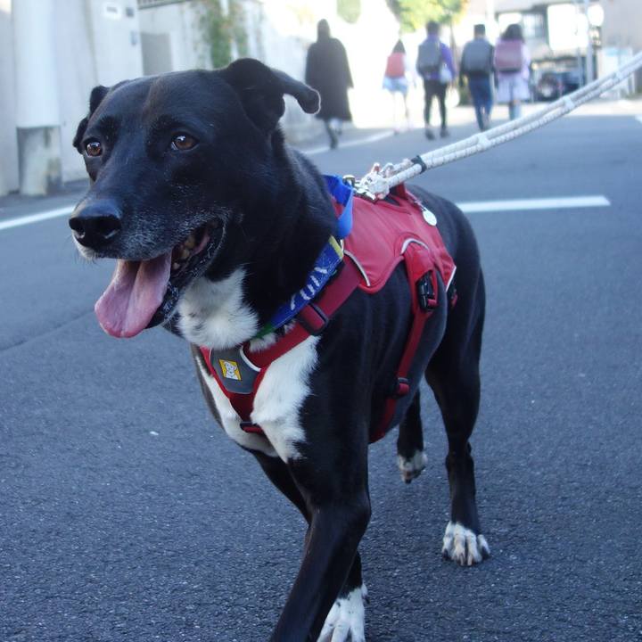 7644496a 3bba 40a0 b381 28b9b897786a 1668127221517