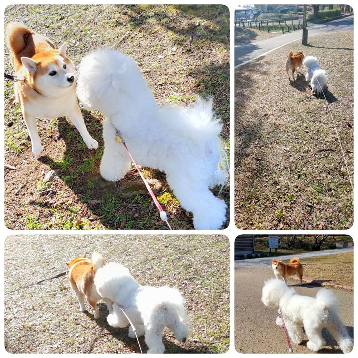 764488d4 678f 4670 9c5d 12e906433e81 1768808795722