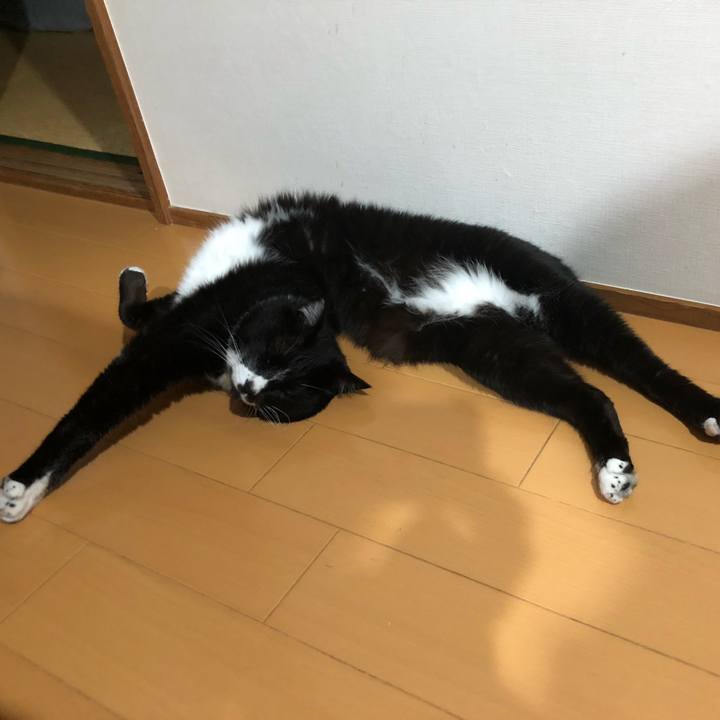 7644b4a2 8a23 4e2e a203 dddff95caa4f 1657778310848