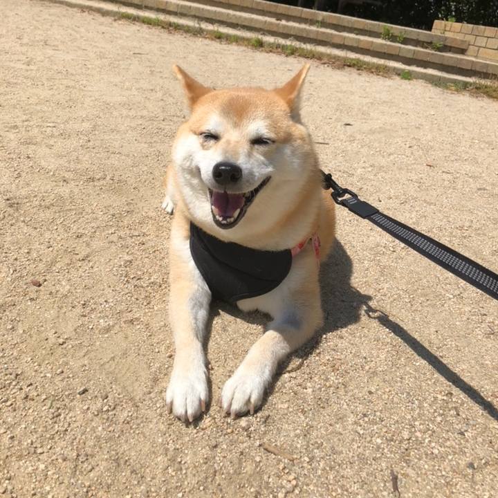 7644cd4b e207 4c92 85c7 5c9be2784ad0 1558601980193