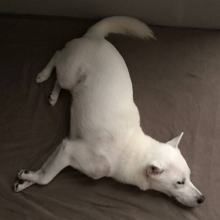 7644f86a 658c 46e2 a23c b9aa3250a1a2 1569468732903