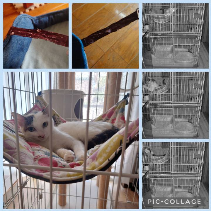 76450e23 b0f8 4dd9 8adc a32311430248 1689554689302