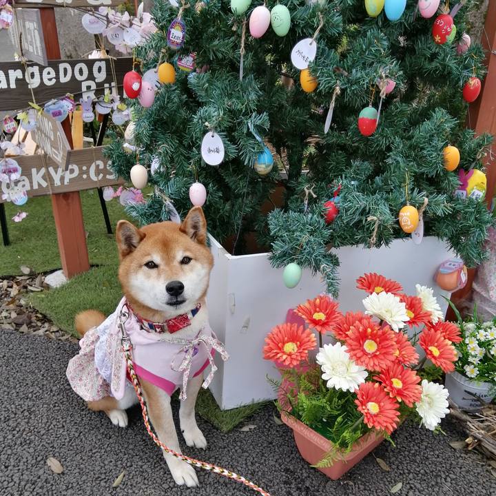 76453821 0969 4434 88f7 c22f5b95fc73 1650183956271