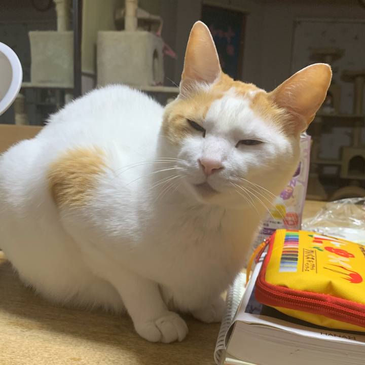 76454667 9bb0 43fe b764 051e74370efb 1617204276221