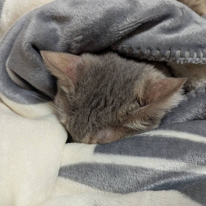 7645843b 8d19 4590 a895 4bbc508026f1 1765019055732