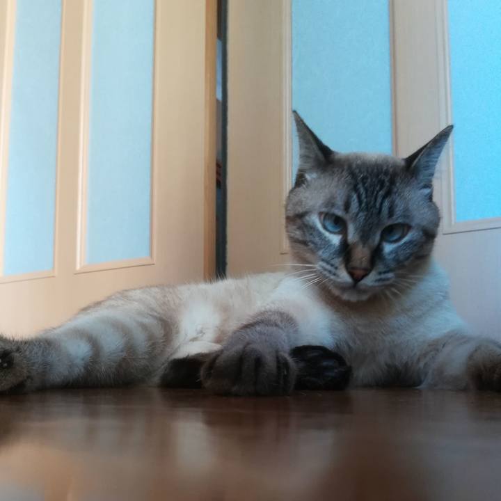 7645a11f 3288 498f 81d4 e5557c7341de 1534234165317