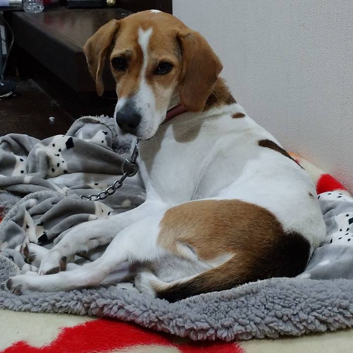 7645ade1 fc4c 4370 bef9 d97ef3bc423a 1580900610609