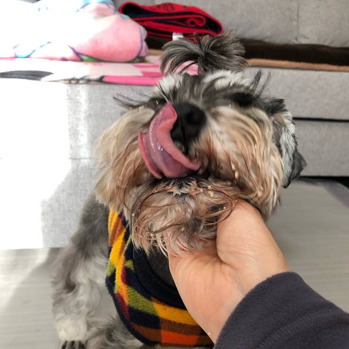 7645d026 9c73 40b7 8795 fa6e709c829b 1578135442941