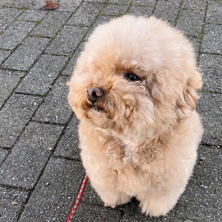 7645d797 7891 4d02 9ff4 6effe9d28c9f 1512096361909