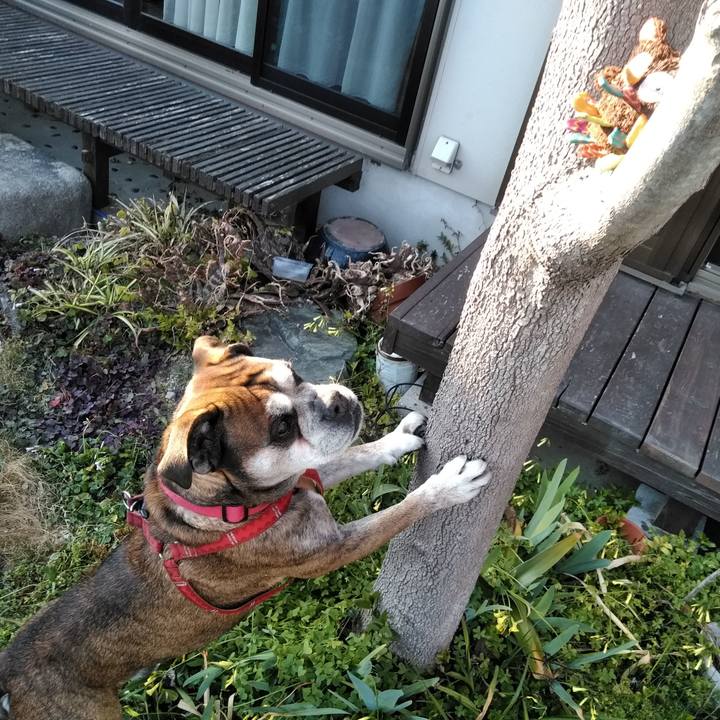 7645fd4d 7a58 444e 9629 61ecb30b885e 1553350063576