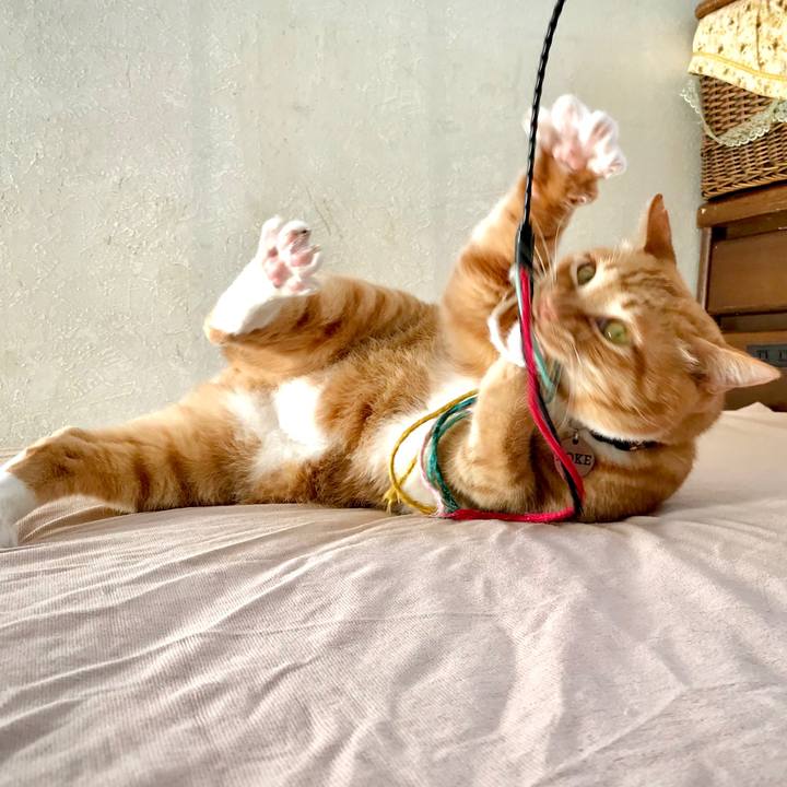 764600ad 4e7a 4a76 9690 d97ff2b1eb25 1641719662089