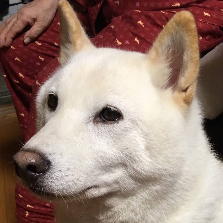 76461627 988b 4aa2 9012 c49fe702eb3c 1539167179289