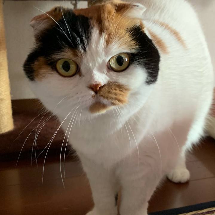 7646191e e9dc 4421 84a0 58d389af5e5a 1564095985950