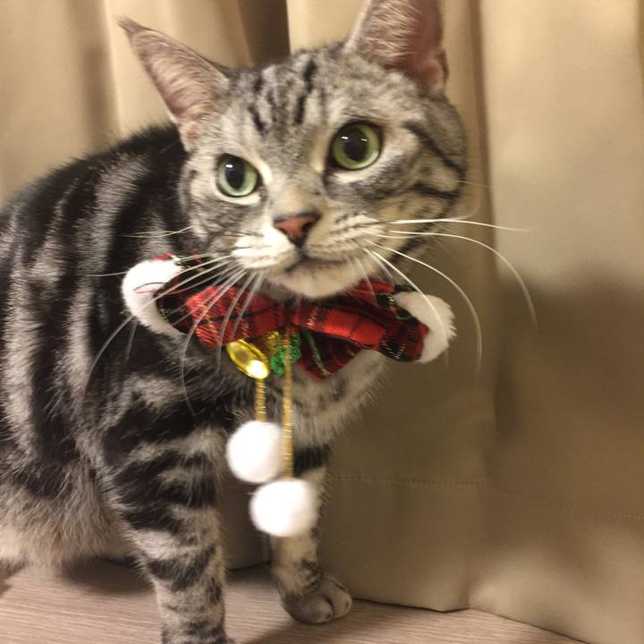 76462043 aac7 4e1b aa3a 9b31cada79f2 1514118475331