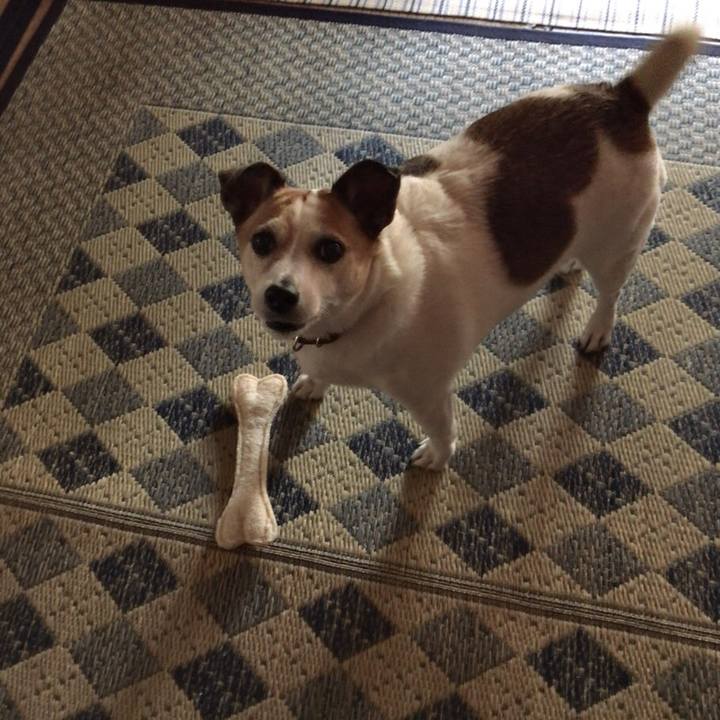 764626e1 c8f4 4067 b3a2 005d6409f16d 1538543808237