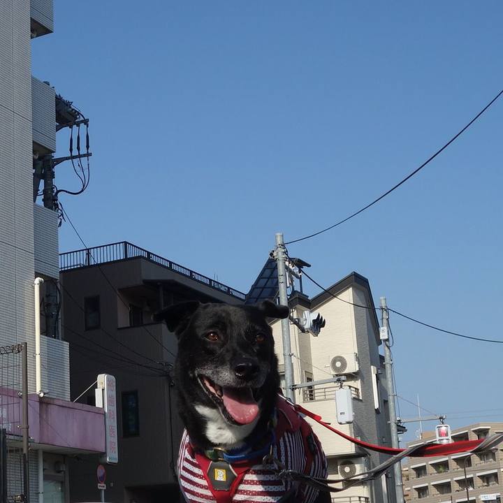 76464dfa 3427 49e3 81c6 1bd5c89c2498 1689120612845