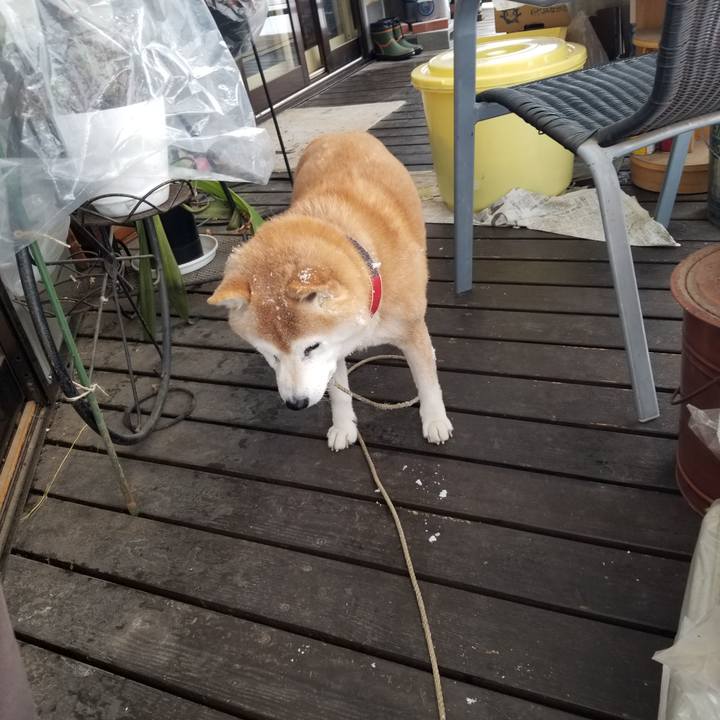 7646503f ed59 4965 ad9b 8f0b1c82eff6 1738712509208