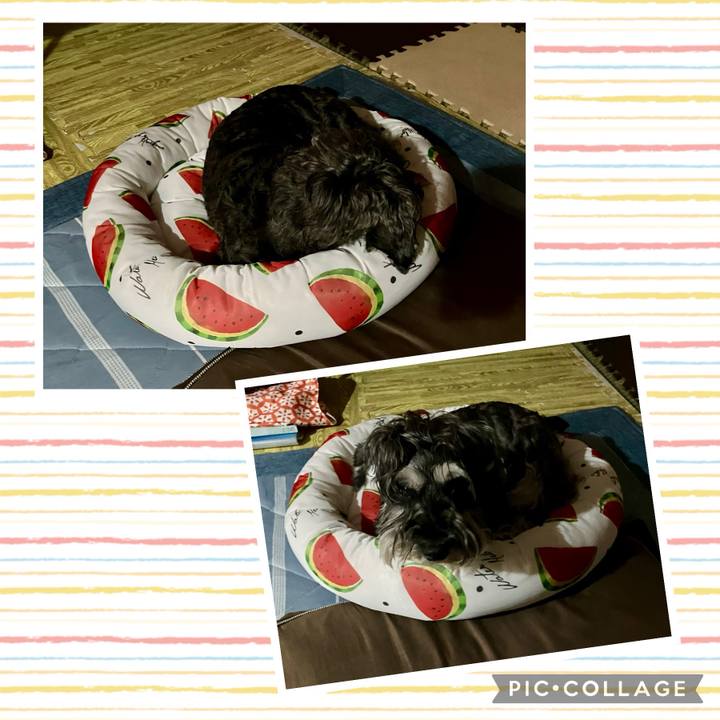 76465336 2657 4039 9528 0d5a525fa284 1722311529560